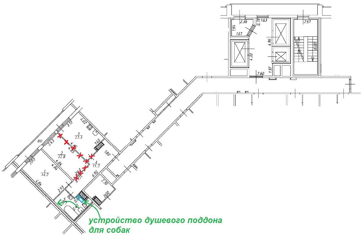 Техническое задание с душевым поддоном для собак